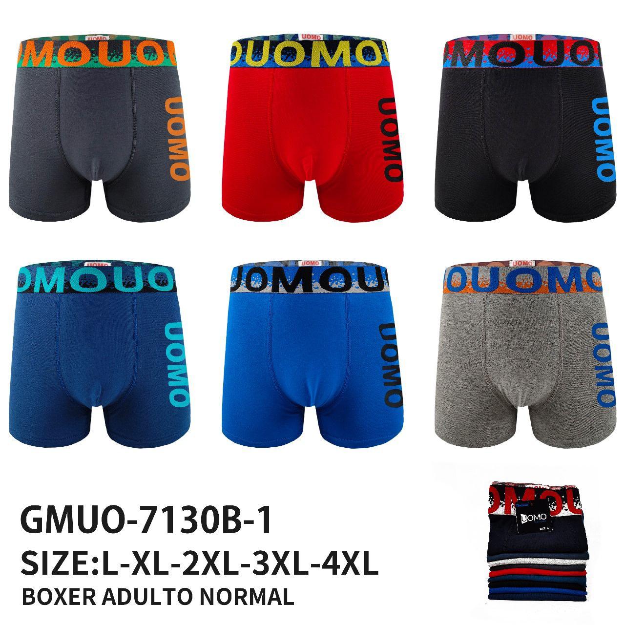 BOXER ADULTOS NORMAL