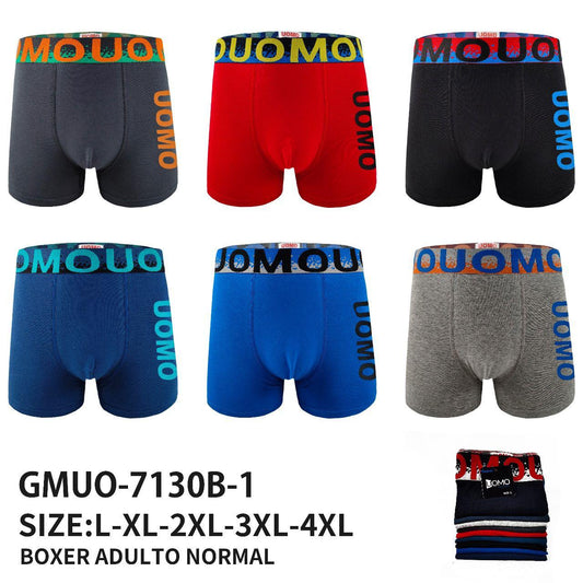 BOXER ADULTOS NORMAL