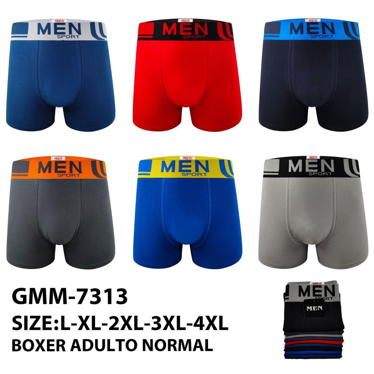 BOXER ADULTOS NORMAL