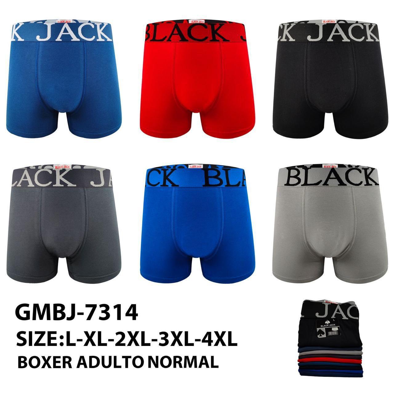 BOXER ADULTOS NORMAL